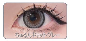 ちゅるんキャットグレー