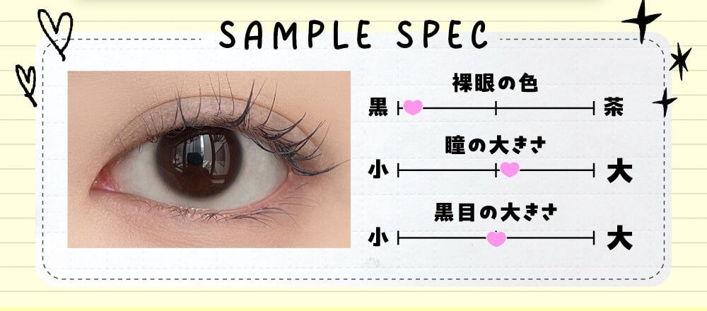 モデルスペック