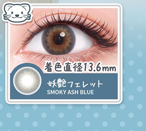 妖艶フェレット