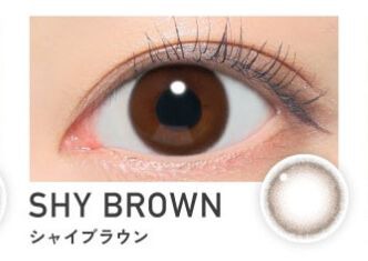 シャイブラウン