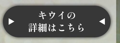 詳細はこちら