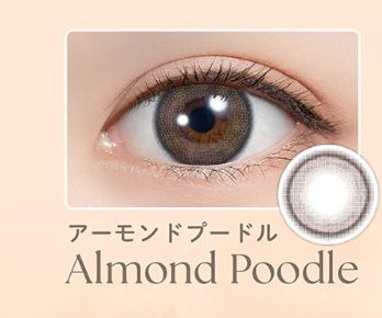 アーモンドプードル