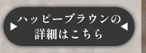 詳細はこちら