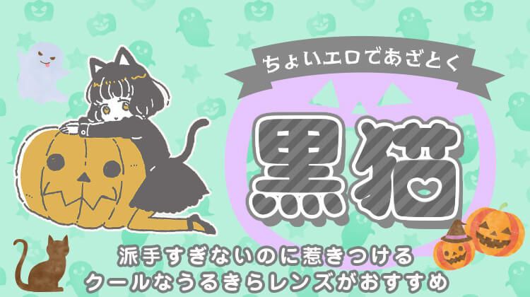 黒猫