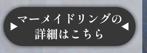 詳細はこちら