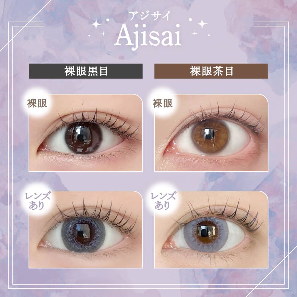 レイン（rain） アジサイ