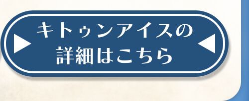 詳細はこちら