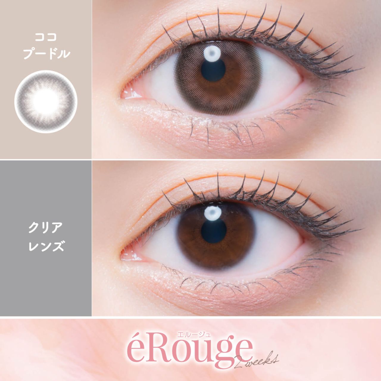 エルージュ（eRouge） ココプードル