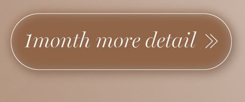 シルエットキャメルマンスリー