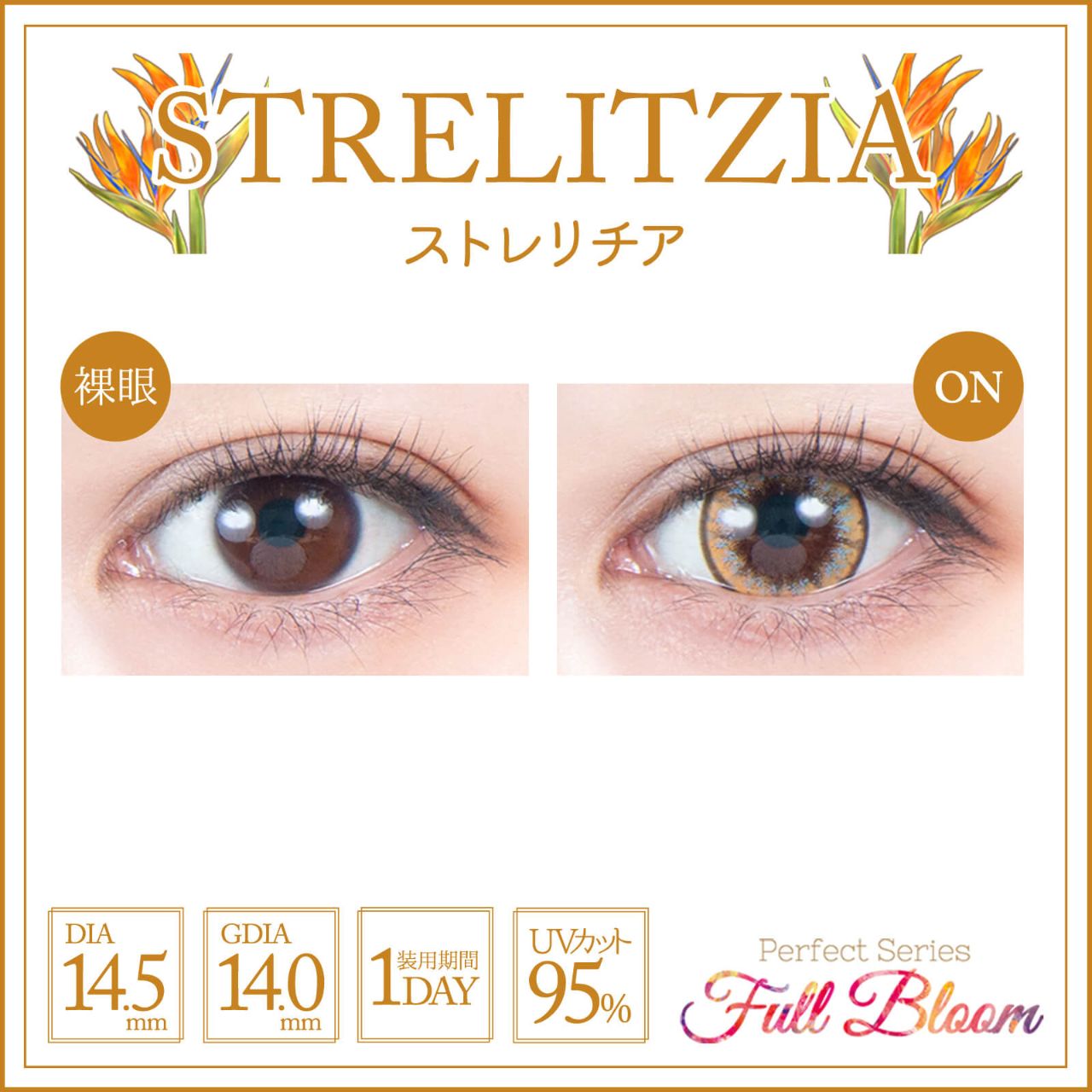 パーフェクトシリーズ フルブルームワンデー（Perfect Series