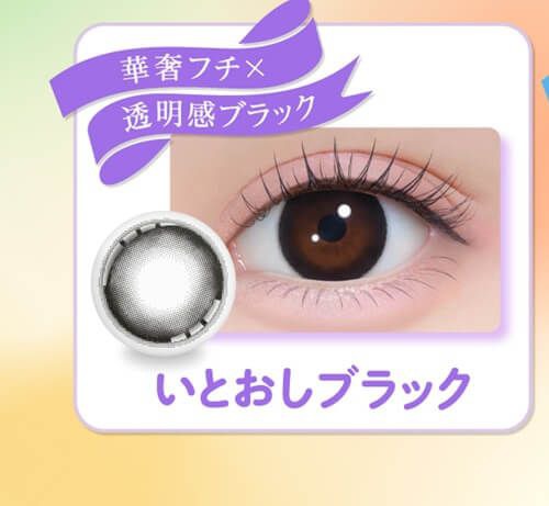 いとおしブラック