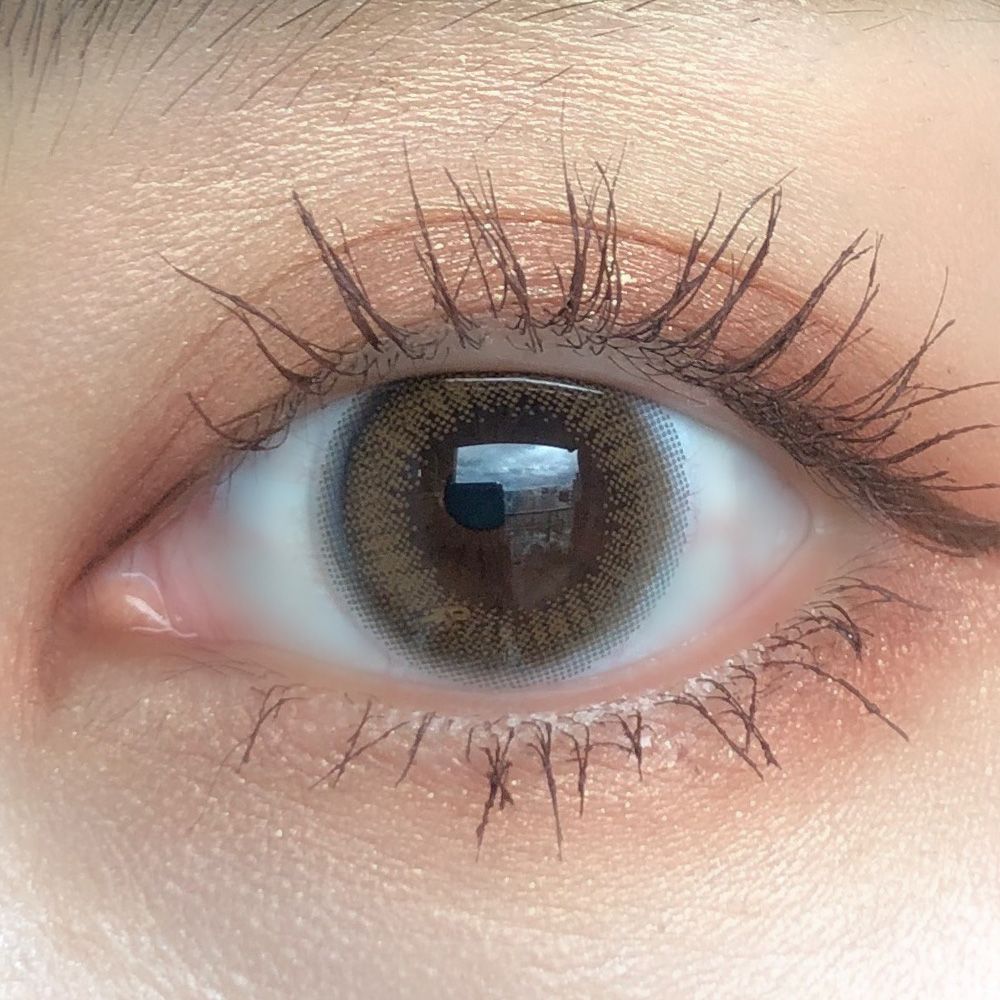 ジルスチュアート ワンデー UV（JILL STUART 1day UV） ブラウン 着用イメージ