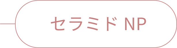 rainymell mewmeltgloss