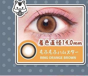 もふもふハムスター