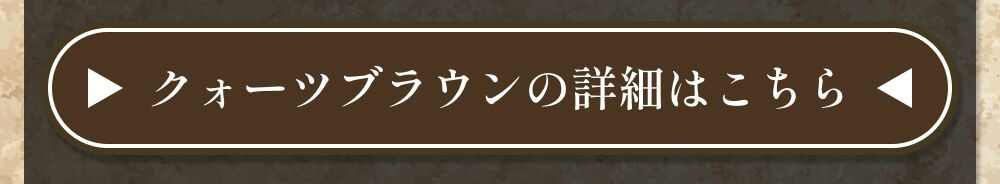 詳細はこちら