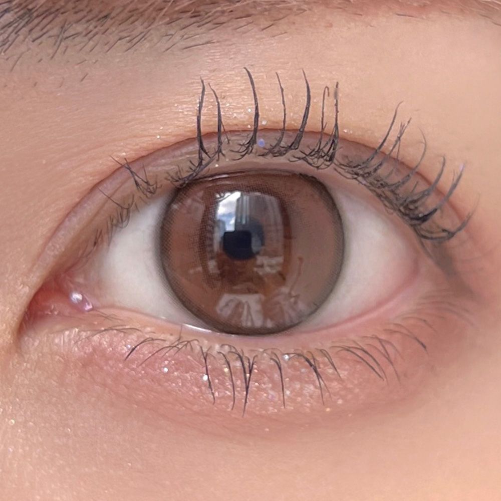 ワンデー リフレア エーアイ シリコーン ハイドロゲル／シリコン（1day refrear a-eye silicone hydrogel） リファインドブラウン 着用イメージ
