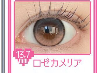 ロゼカメリア