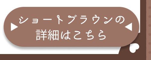詳細はこちら
