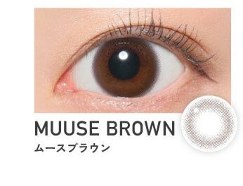 ムースブラウン