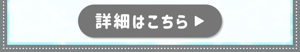 詳細