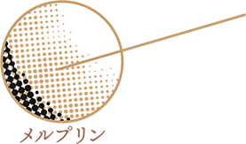 ハニードロップス シリコーン ハイドロゲル（HONEY DROPS silicone hydrogel）