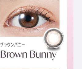 ブラウンバニー