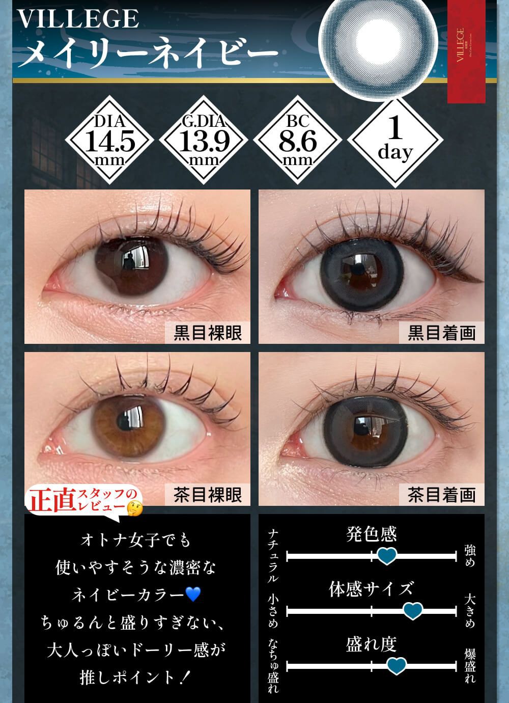 メイリーネイビー