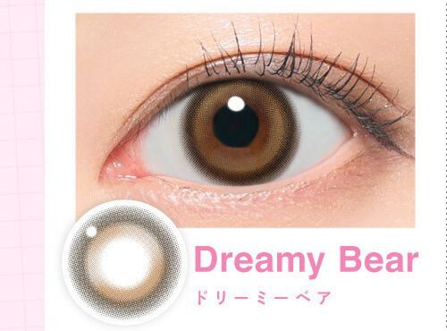 ドリーミーベア