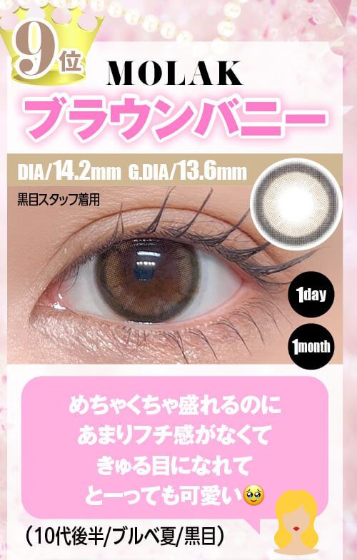 ブラウンバニー