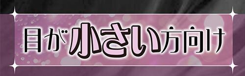 目が小さい方向け