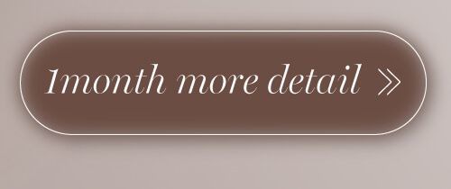 ホロブラウンマンスリー