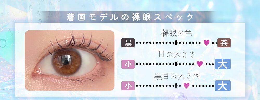 着画スタッフの裸眼スペック