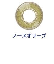 ノースオリーブ