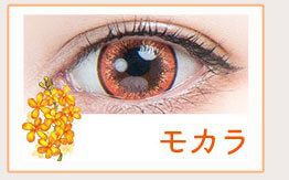 モカラ
