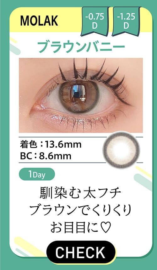 column2 ブラウンバニー