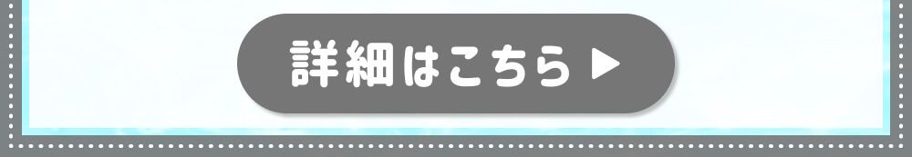 詳細