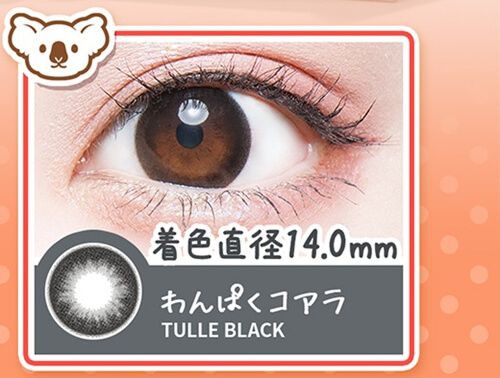 わんぱくコアラ/Tulle Black