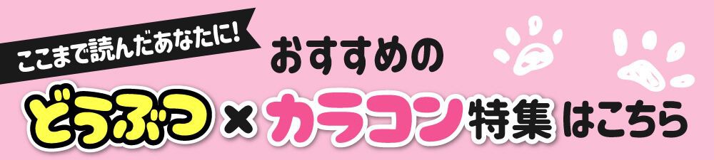 関連特集