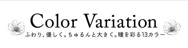 カラーバリエーション