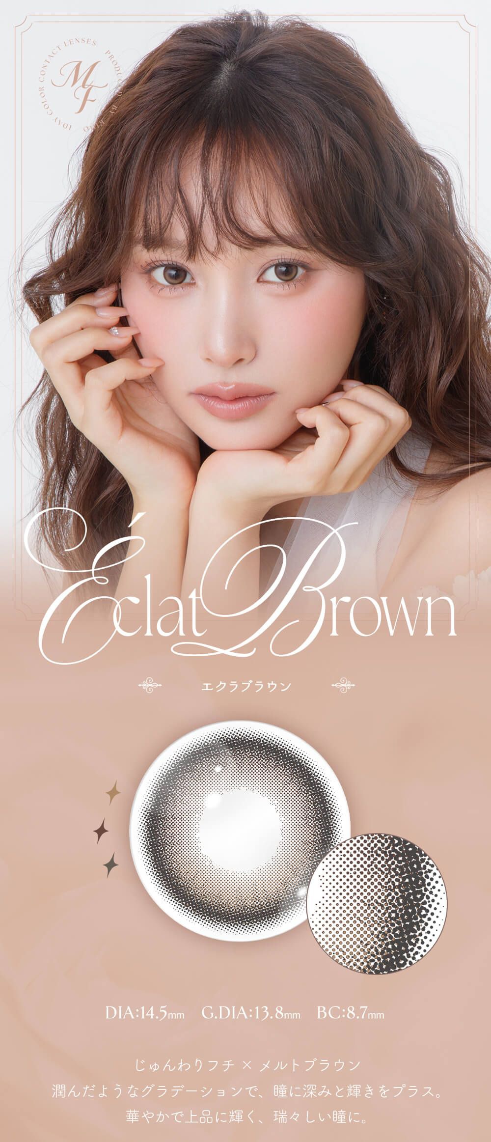 エクラブラウン