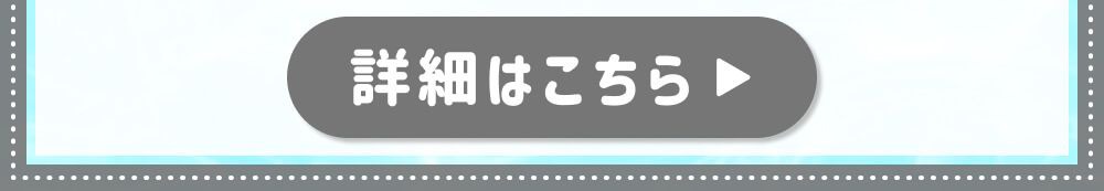 詳細