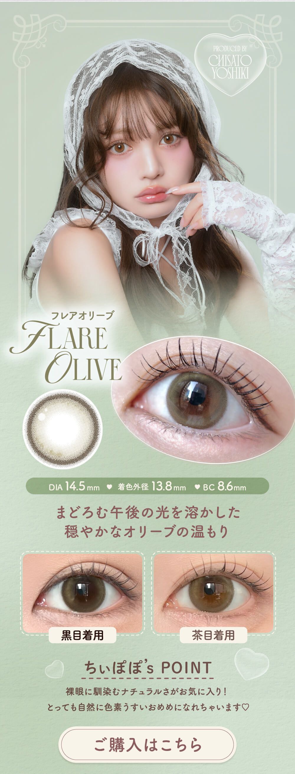 フレアオリーブ