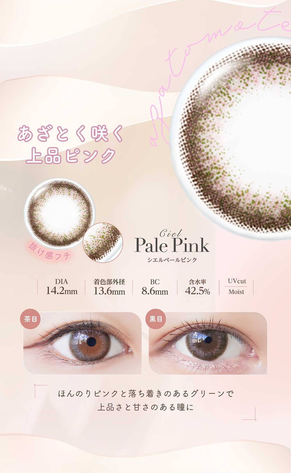 シエルペールピンク