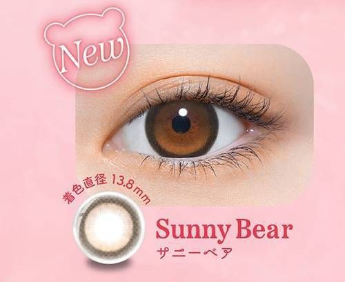 サニーベア