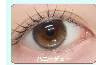 ハニーデュー