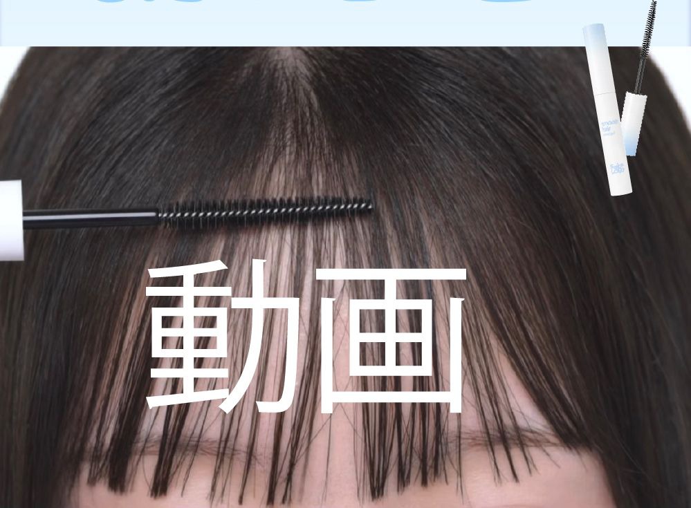動画部分