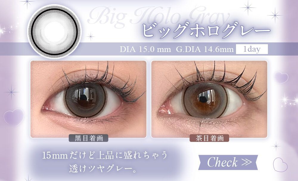 ビッグホログレー