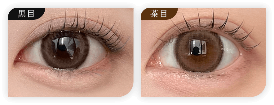 アミュリー｜度あり・度なしカラコン ワンデー｜15.0mm｜ワイ。