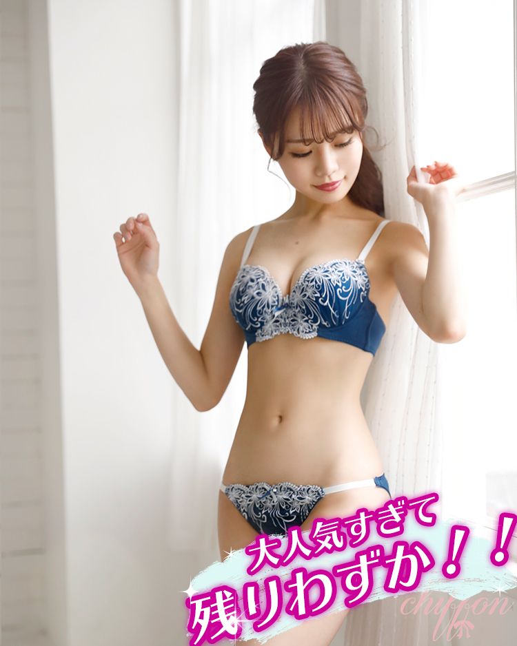 エレガント花柄シフォンレースブラ＆フルバックショーツ ネイビー