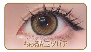 ちゅるんミツバチ